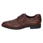 Sioux schoenen heren Forkan-XL Brogues bruin 34351 voor 129,95 € 